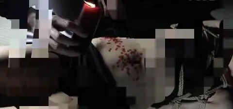 西檬之家 S是什么意思 BDSM