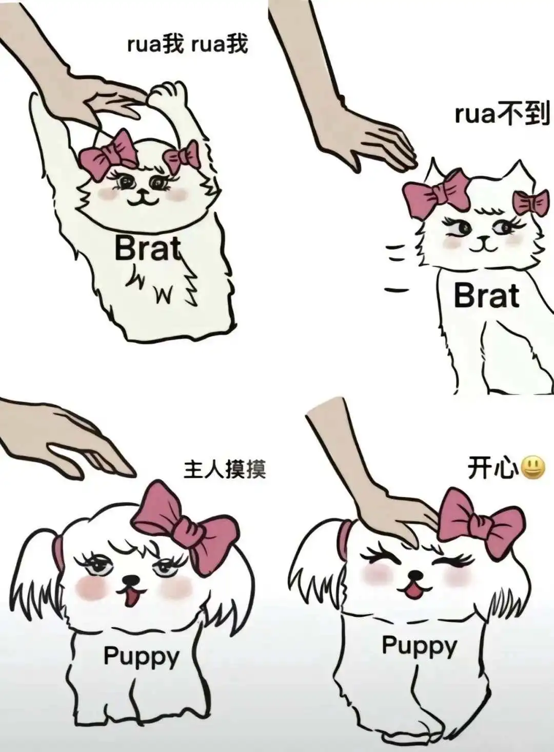 西檬之家-字母圈新人入圈指南