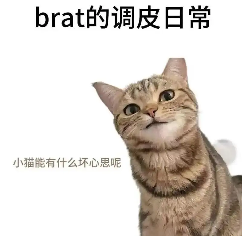 【西檬之家】字母圈新人如何入圈？认识BDSM基础术语