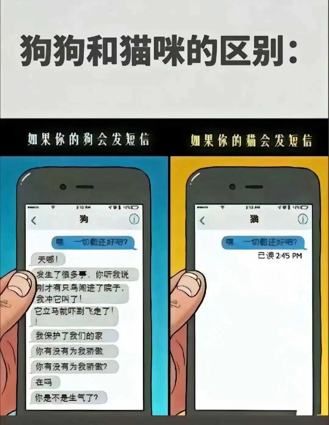 S - 微信图片_20250713011414