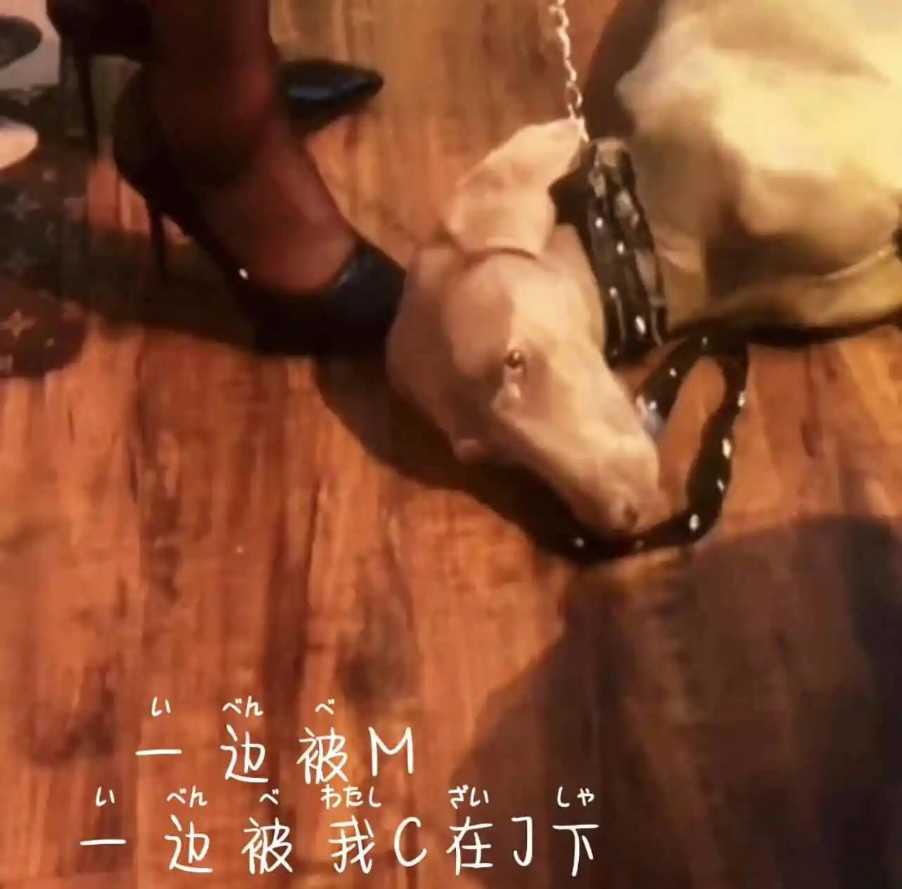 Sub是什么 - 2023_11_07_20_50_IMG_8911