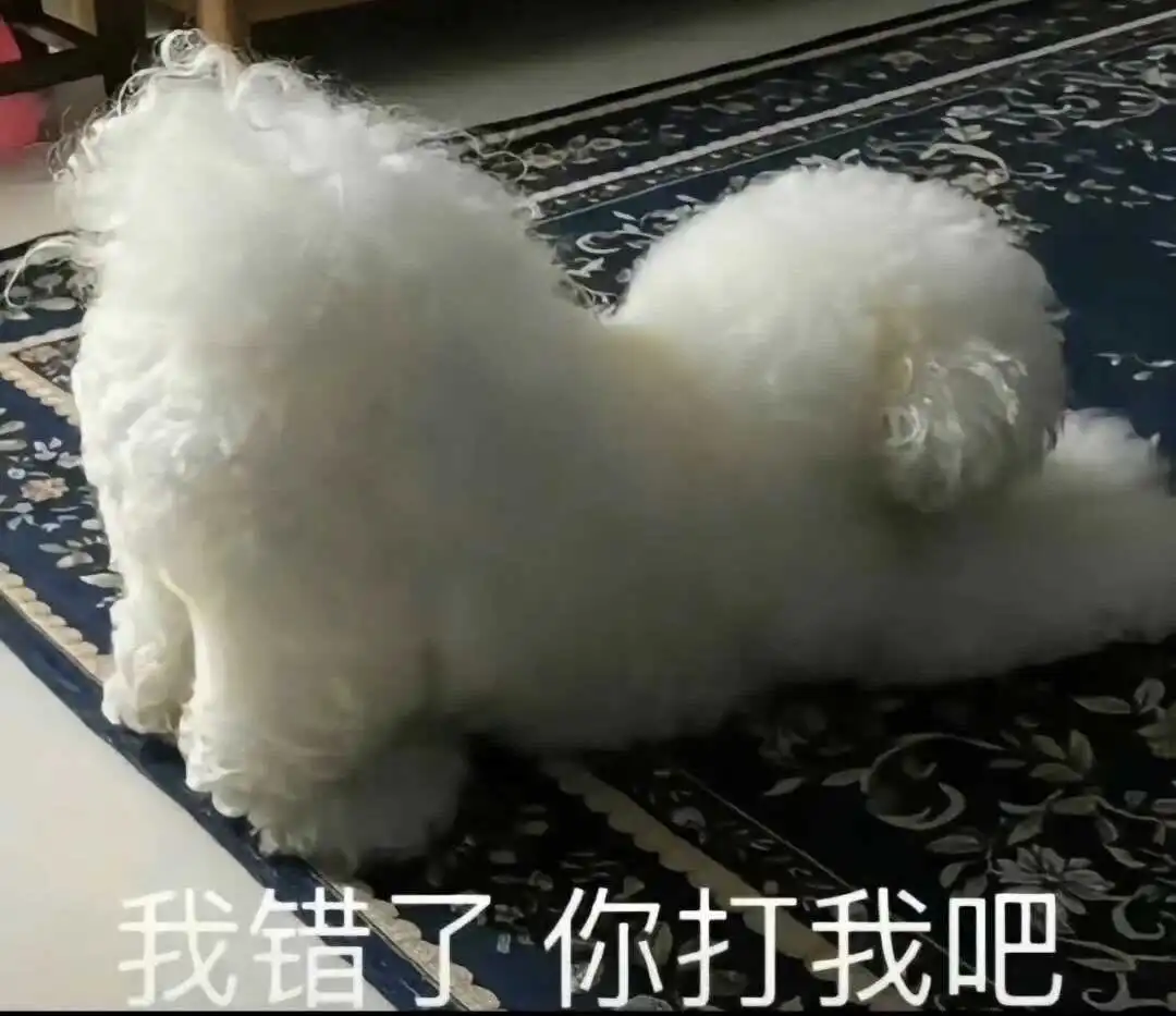 【西檬之家】字母圈新人如何选择适合的BDSM角色？