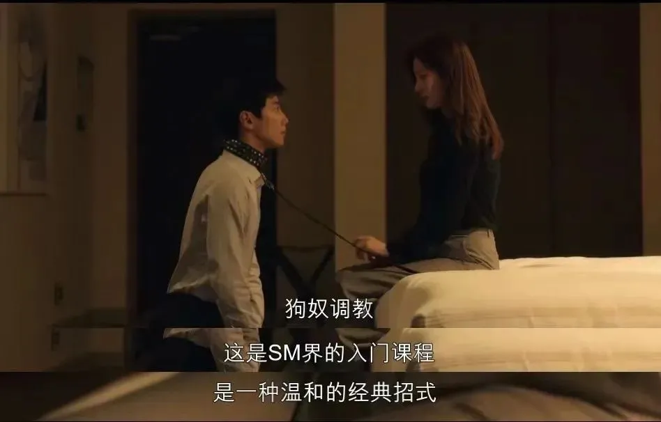 S倾向 - 8722