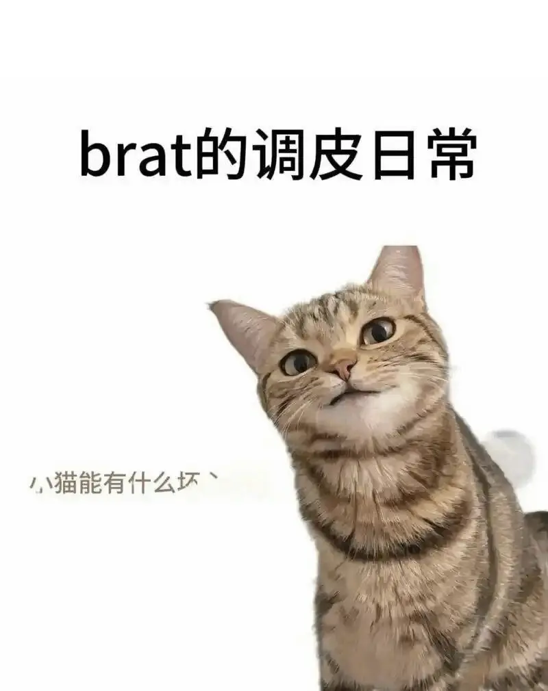 【西檬之家】BDSM管教：新人的权威指南